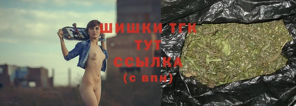 ГАЛЛЮЦИНОГЕННЫЕ ГРИБЫ Аркадак