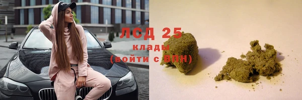 ГАЛЛЮЦИНОГЕННЫЕ ГРИБЫ Аркадак